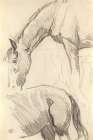 Study of Horses Art Print