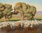 Summer Cottonwoods, July 1933 Art Print