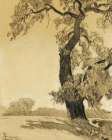 The Oak Tree 1927 Art Print