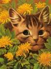 Cat in the Flowerbed Art Print