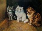 Three Kittens ca 1890 Art Print
