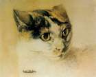 Watercolour Cat Study ca 1880 Art Print