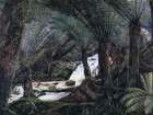 A Natural Fernery in Victoria Art Print