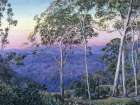 Evening Glow over the Range, Harlaxton, Queensland Art Print