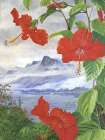 Mahe, Seychelles with Hibiscus Art Print