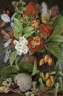 New Zealand Flowers and Fruit Art Print