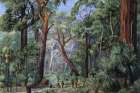 Scene in a West Australian Forest Art Print