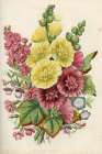 1858 vol. 14 - Jul Aug Flowers Art Print
