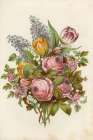 1858 vol. 14 - May June Flowers Art Print