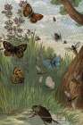 1864 vol. 16 - Butterflies and Moths V Art Print