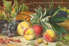 1861 vol. 17 - Sept and Oct Fruit Art Print