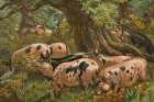 1862 vol. 18 - Autumn pigs Art Print