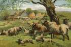 1862 vol. 18 - Spring Lambs Art Print