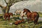 1862 vol. 18 - Summer Horses Art Print