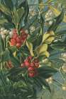 1863 vol. 19 - Winter Berries Art Print