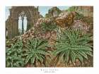 1865 vol. 21 - Wall Ferns Art Print