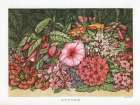 1866 vol. 22 - Autumn Flowers Art Print