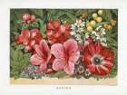 1866 vol. 22 - Spring Flowers Art Print