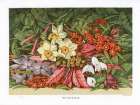 1866 vol. 22 - Winter Flowers Art Print