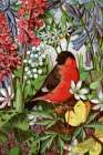 1869 vol. 25 - Bullfinch Art Print