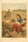 1871 vol. 27 - Highland Lassie Art Print