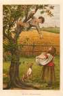 1878 vol. 34 - Apple gathering Art Print