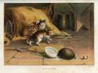 1880 vol. 36 - Baffled kittens Art Print