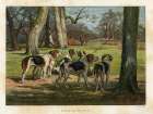 1880 vol. 36 - Dogs waiting for the sport Art Print