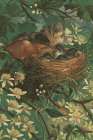1881 vol. 37 - Baby Birds Art Print