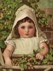 1884 vol. 40 - A young hop-picker Art Print
