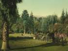 California - Lucky Baldwins Ranch Pasadena Ca 1898