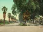 California - Magnolia Avenue Riverside Cal Ca 1903