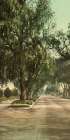 California - Marengo Avenue Pasadena Ca 1898 Art Print