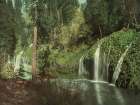 California - Mossbrae Falls Ca 1899 Art Print