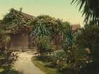 California - Rose-covered Cottage Pasadena Ca 1898 Art Print