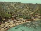 California - the Beach at Avalon Santa Catalina Island Cal Ca 1903 Art Print
