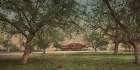 California - the Country Club Pasadena Ca 1898 Art Print