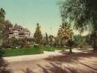 California - View on Palm Avenue Riverside Ca 1901 Art Print