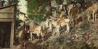 Colorado Burros at Silver Mine Ca 1898
