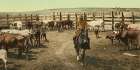 Colorado Round up in the Corral Ca 1898 Art Print