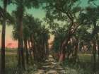Florida - Old Causeway Near Ormond Ca 1898 Art Print