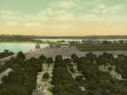 Florida - Orange Grove and Pineries Ca 1904