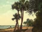 Florida - Scene Indian River Ca 1898