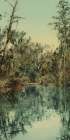 Florida Tributary of the St Johns Ca 1898