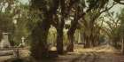 Georgia - Bonaventure Cemetery Savannah Ca 1901
