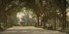 Georgia - Forsyth Park Savannah Ca 1901