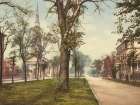Georgia - Oglethorpe Avenue Savannah Ca 1900