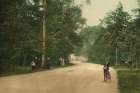 Michigan - Detroit Belle Isle Forest Drive Ca 1898