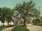 Mississippi - Along the Bay Bay St Louis Ca 1901