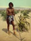 New Mexico - the Man with the Hoe Ca 1902 Art Print